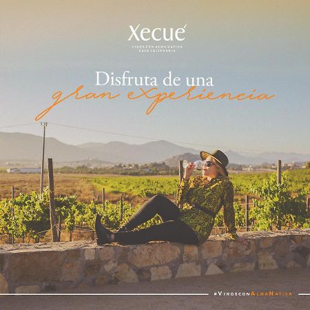 Vinos Xecue Hotell Ensenada Exteriör bild