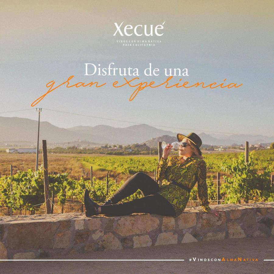 Vinos Xecue Hotell Ensenada Exteriör bild